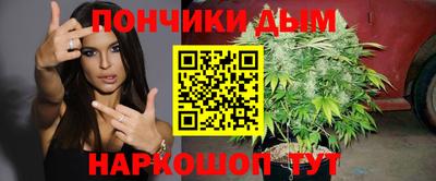 стаф Кандалакша